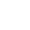 Finco 1865 logo
