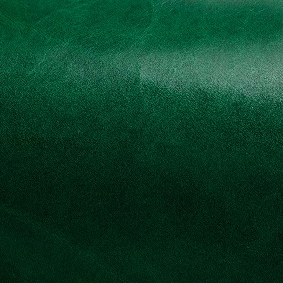 Pelle verde